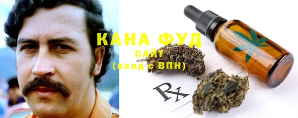 дмт Горняк