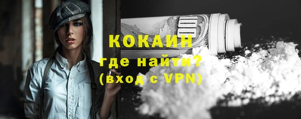 дмт Горняк