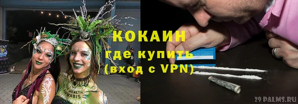 дурь Горно-Алтайск