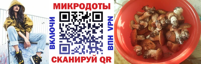 Купить где  Отрадный  Псилоцибиновые грибы мицелий 